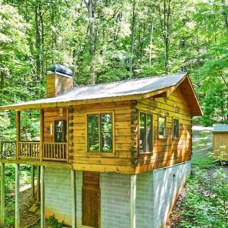 Open Studio Lodge At Little Rock Creek Cherry Log Eksteriør billede