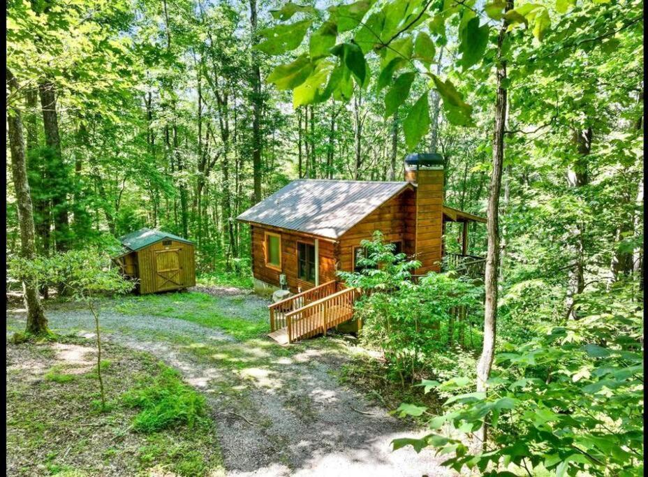 Open Studio Lodge At Little Rock Creek Cherry Log Eksteriør billede